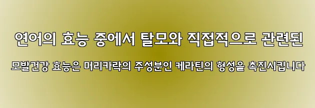  연어의 효능 중에서 탈모와 직접적으로 관련된 모발건강 효능은 머리카락의 주성분인 케라틴의 형성을 촉진시킵니다