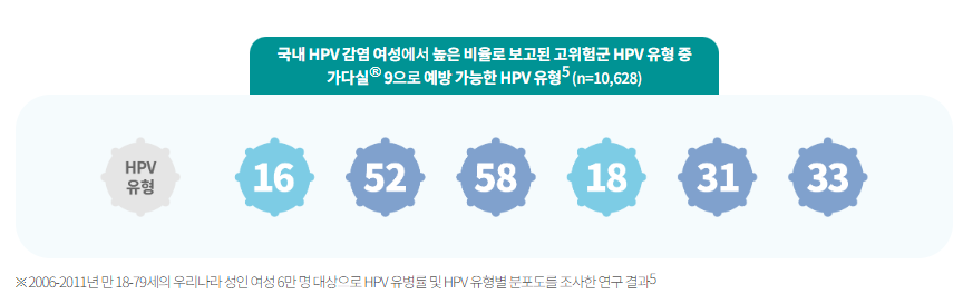 국내 HPV 감염여성에게서 보고된 HPV 유형