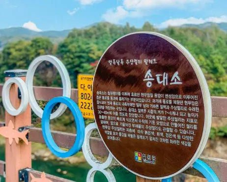 철원 한탄강 물윗길