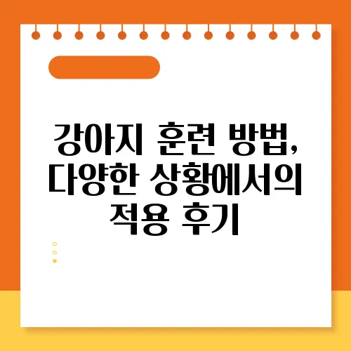 강아지 훈련 방법, 다양한 상황에서의 적용 후기