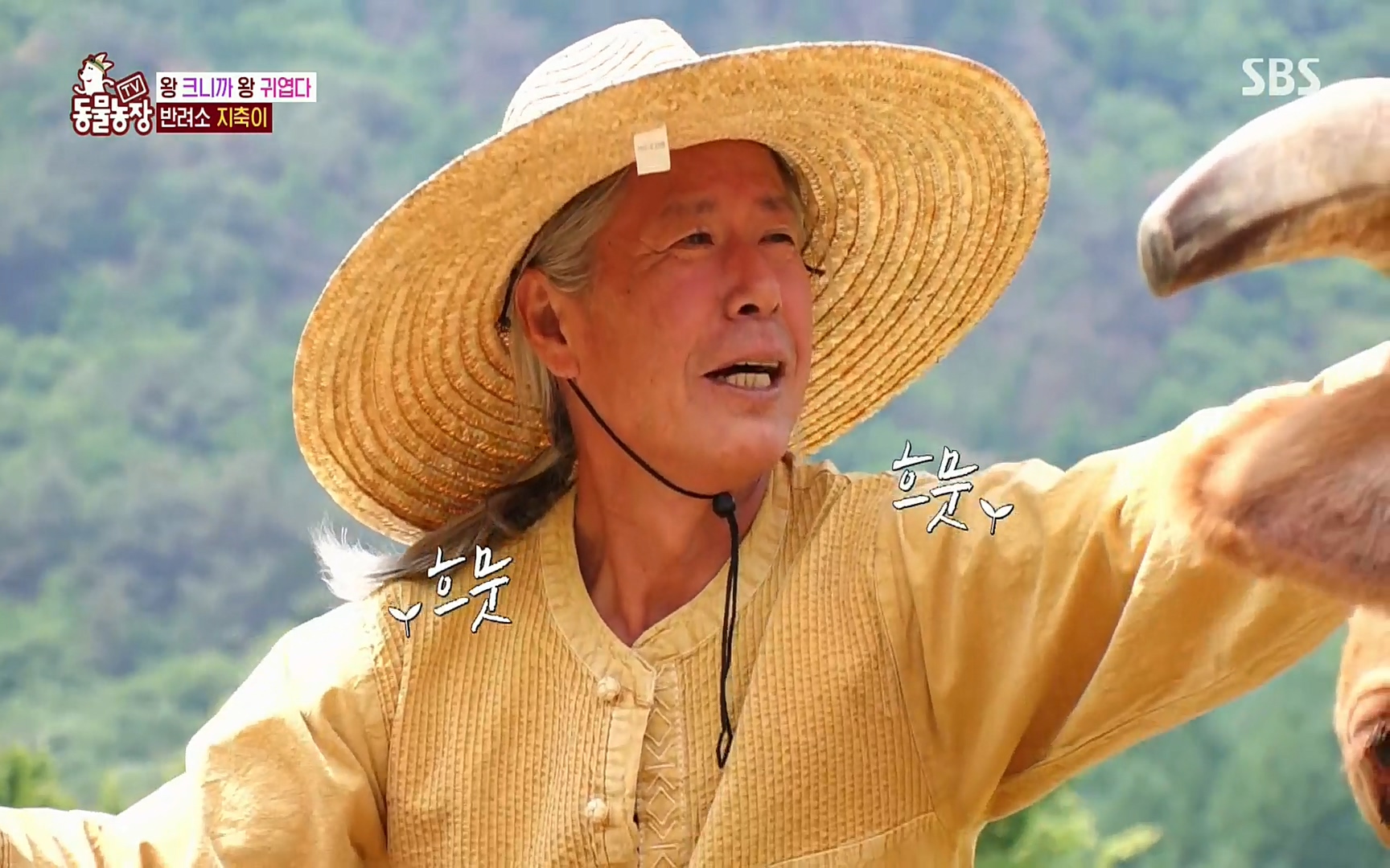 TV 동물농장.E1074.220619p.H264-F1RST.mp4_20220619_181110.807.jpg
