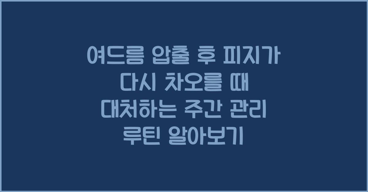 여드름 압출 후 피지가 다시 차오를 때 대처하는 주간 관리 루틴