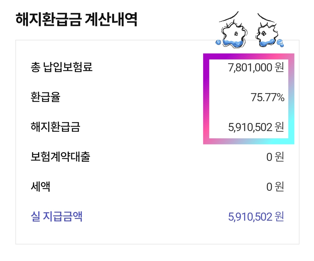  보험 다이어트