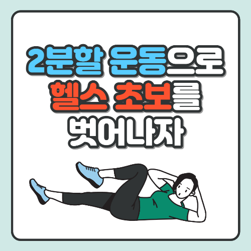 2분할