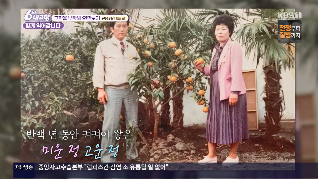 6시 내고향.E7922.231129p.H264-F1RST.mp4_20231129_202830.547.jpg
