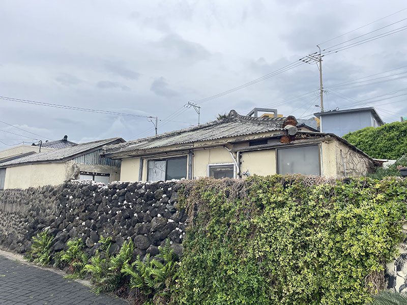 포토샵-수채화-효과-적용전-원본