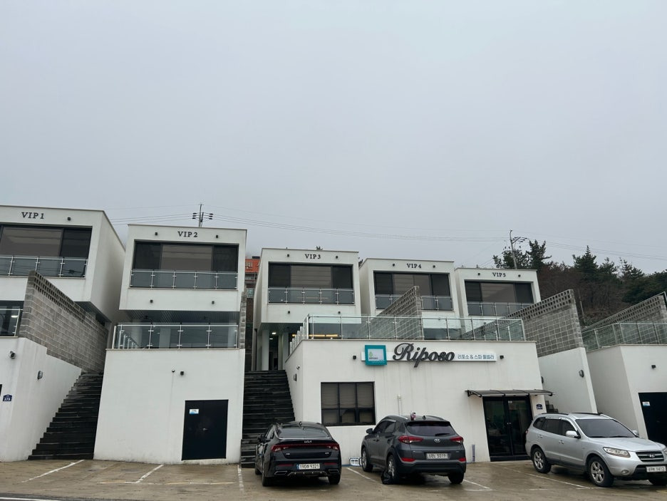 마래 이미지