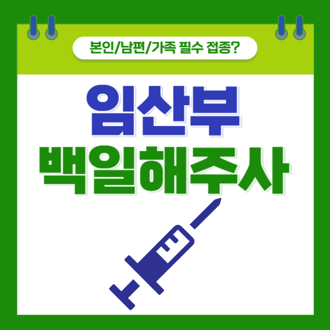 임산부 백일해 주사 본인/남편/가족 어디까지? (feat. 비용과 부작용)