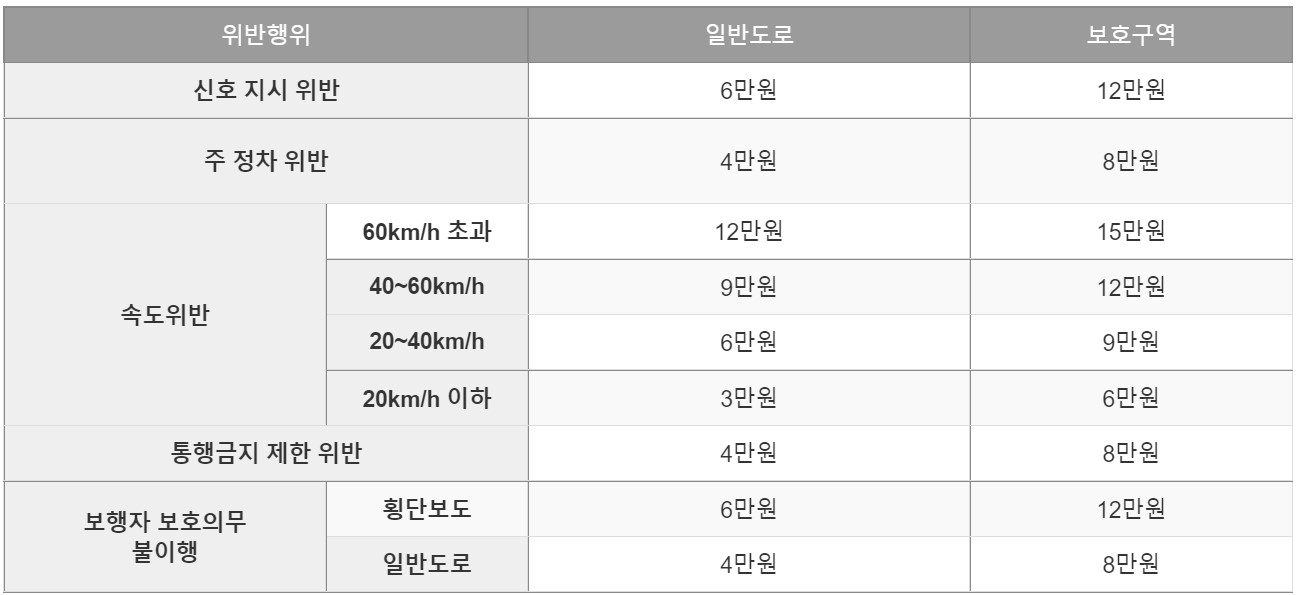 자동차과태료