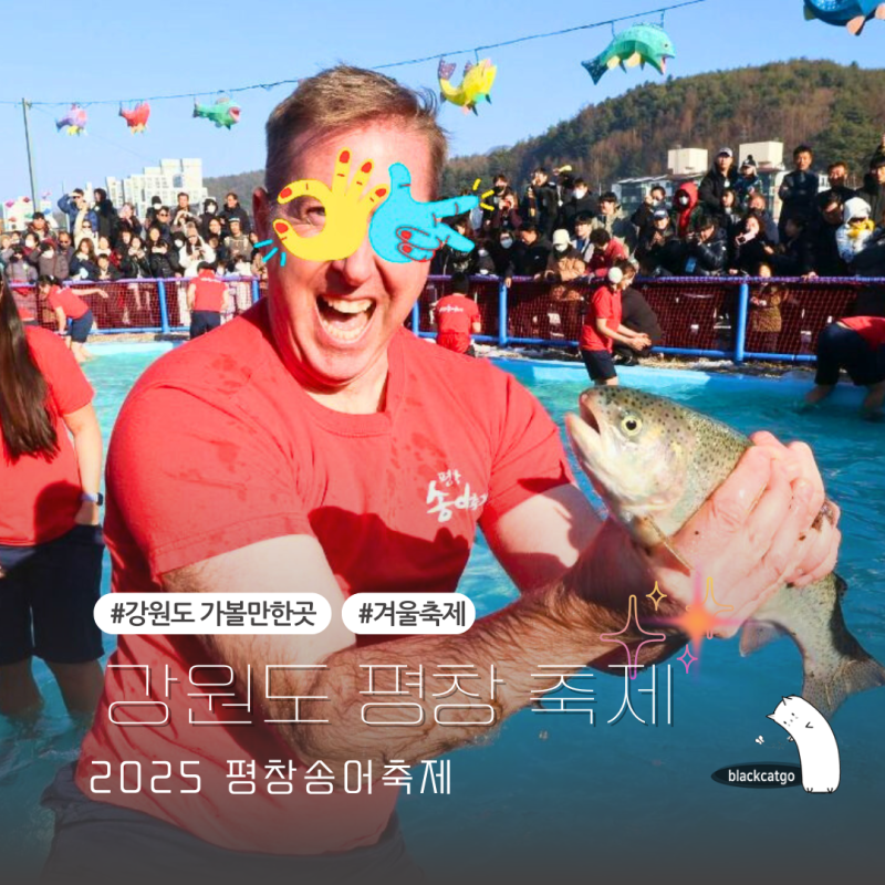 평창 송어축제