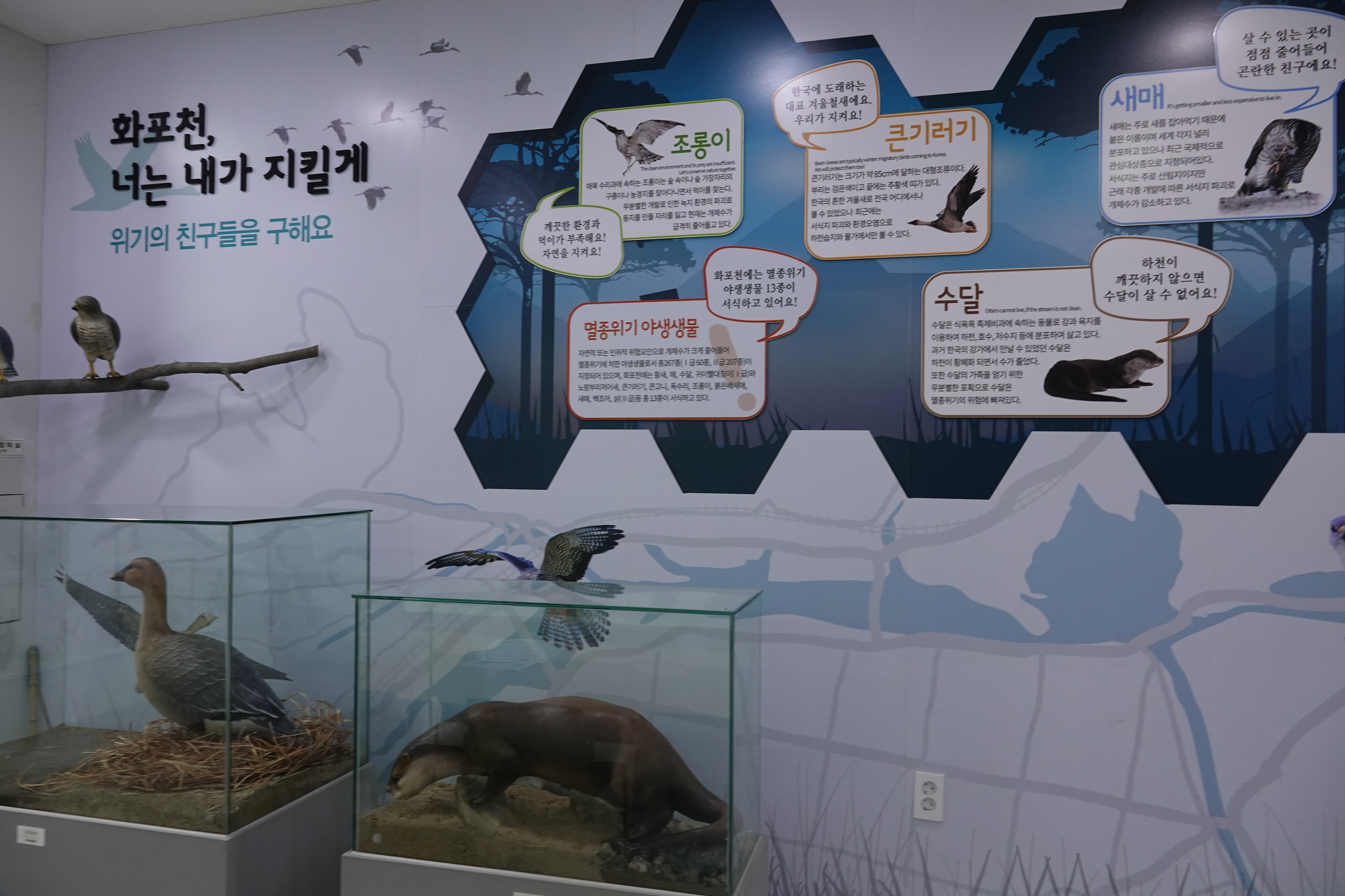 화포천습지생태박물관