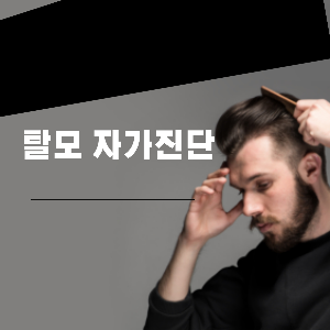 탈모자가진단