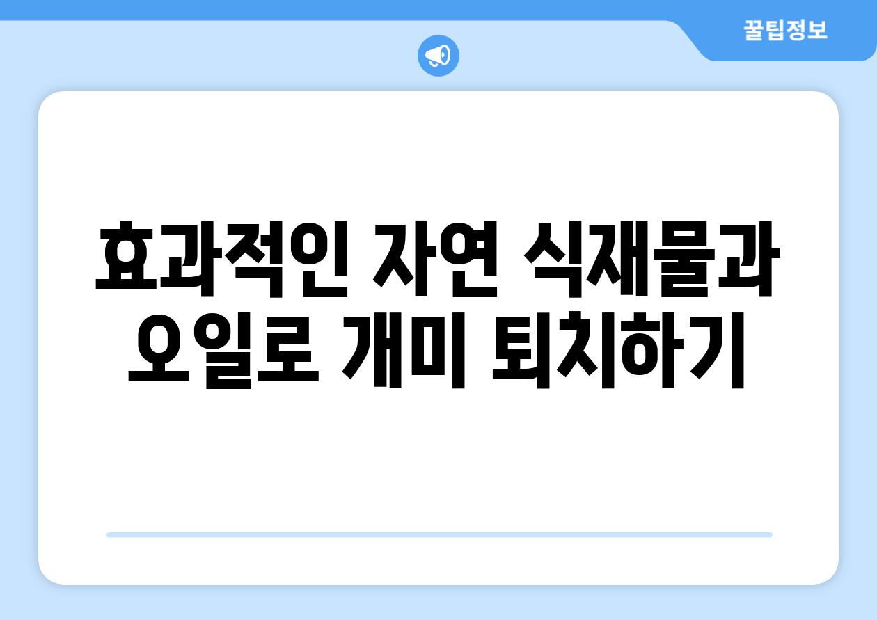 효과적인 자연 식재물과 오일로 개미 퇴치하기