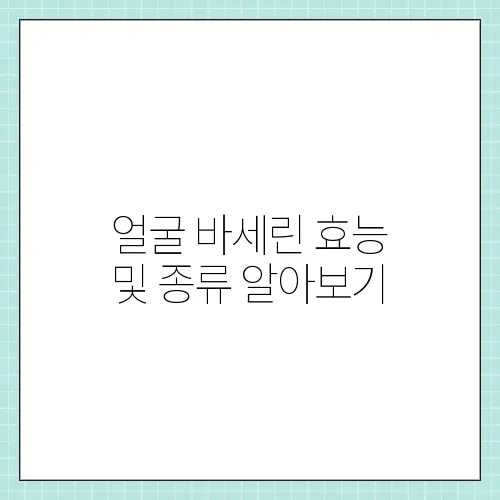 얼굴 바세린 효능 및 종류 알아보기
