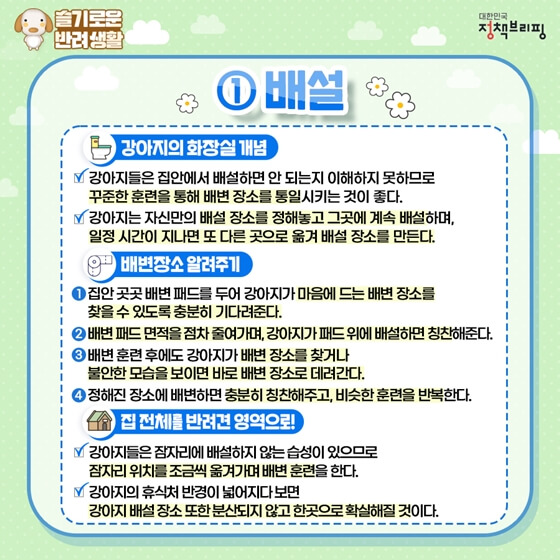강아지배변훈련