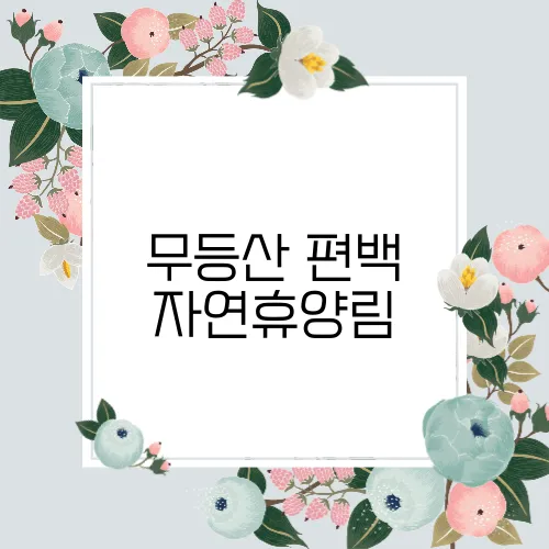 무등산 편백 자연휴양림