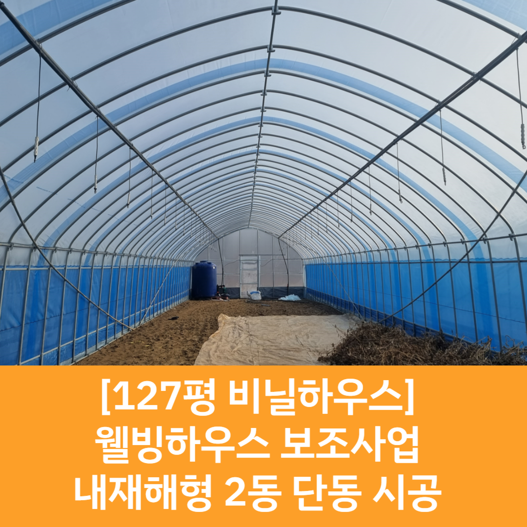  [보조사업 시공] 200평 비닐하우스 / 웰빙하우스 보조사업 / 내재해형 단동하우스 / 단동하우스 시공 / 2동하우스 시공 / 연동하우스 / 화성 비닐하우스 / 병점 비닐하우스 / 농자재도소매 / 농자..