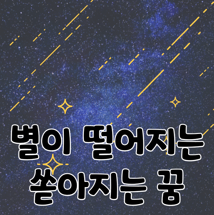 밤하늘에 떨어지는 별