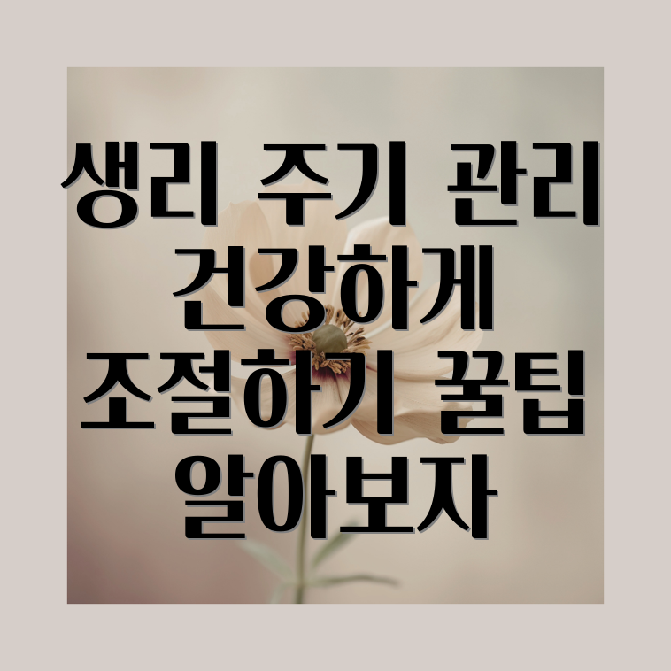 생리 주기 조절