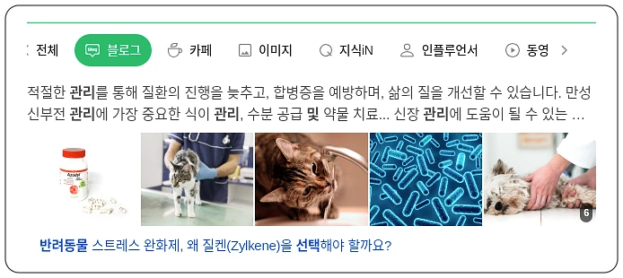 반려동물 선택 및 관리_5