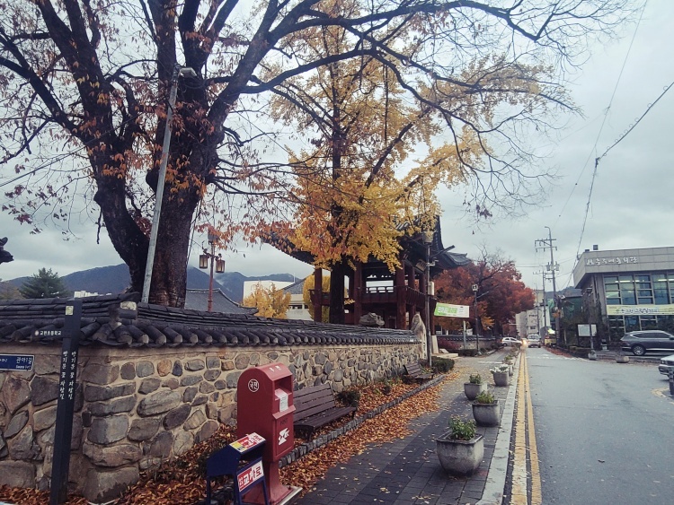  [충주] 볼거리 먹거리 가득한 관아골 - 시티투어(1)