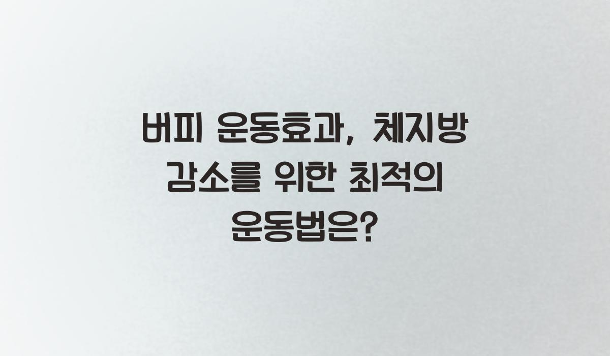 버피 운동효과