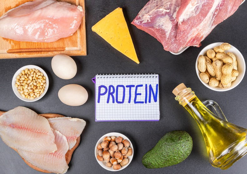 단백질과 지방의 적정 섭취
