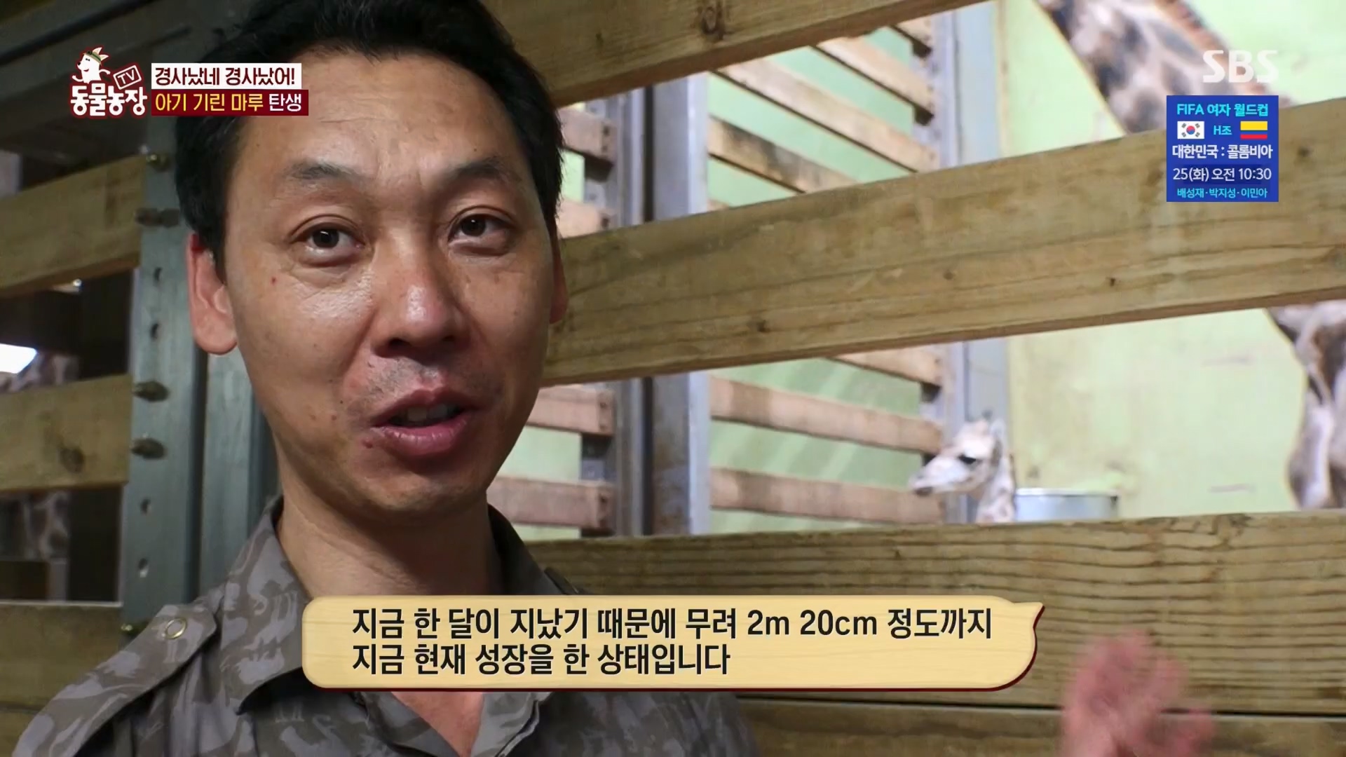 TV 동물농장.E1130.230723p.H264-F1RST.mp4_20230723_171211.744.jpg