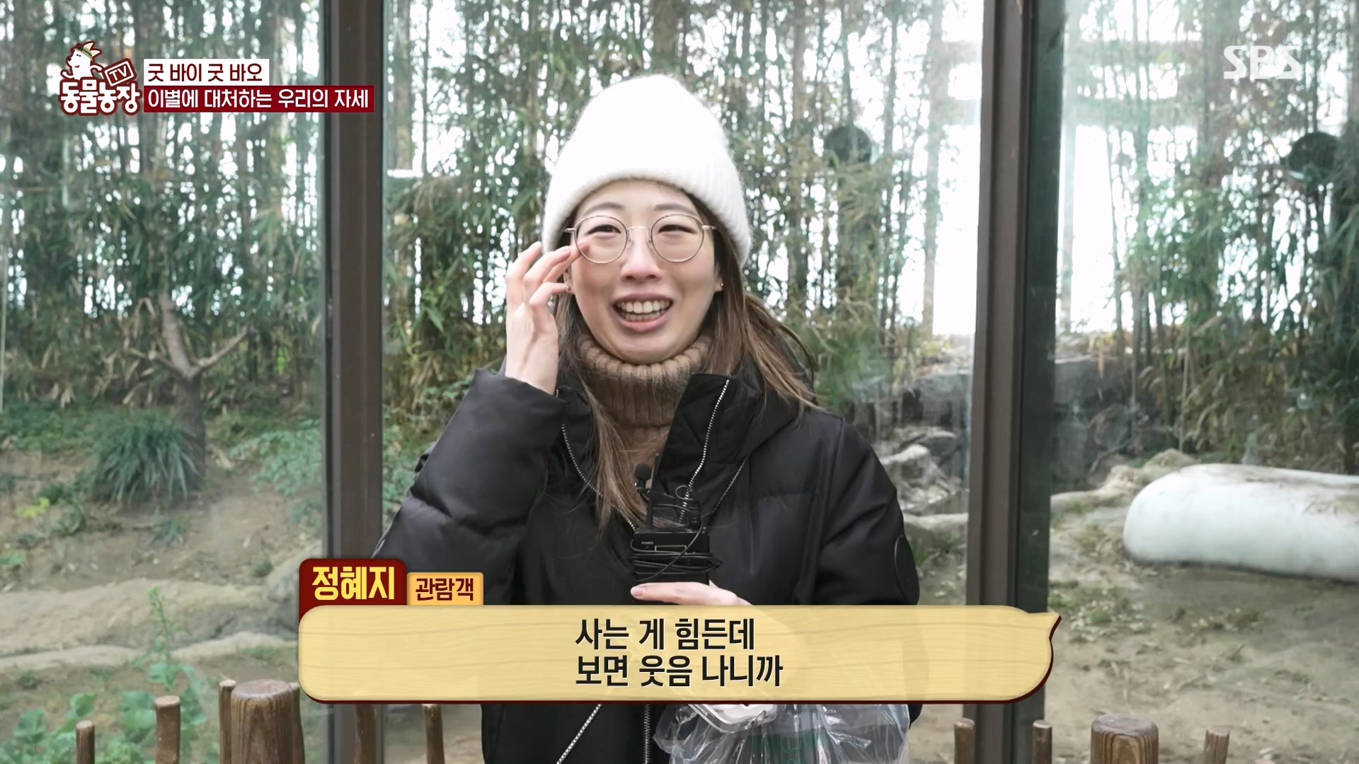 TV 동물농장.E1166.240407p-NEXT.mp4_20240407_164505.083.jpg