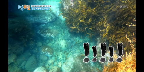  32. 1박2일 시즌4 울릉도- 3가지 특별한 코스여행