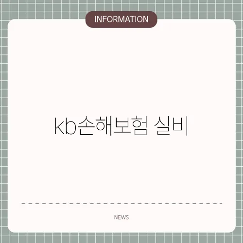 kb손해보험 실비