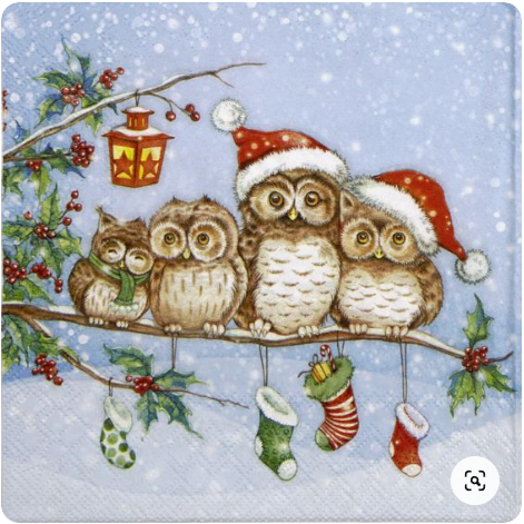 크리스마스 올빼미(Chrowl - Christmas Owl)