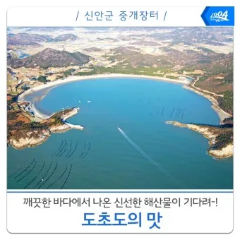 도초도 배시간표 신안 배편 요금 예매_8