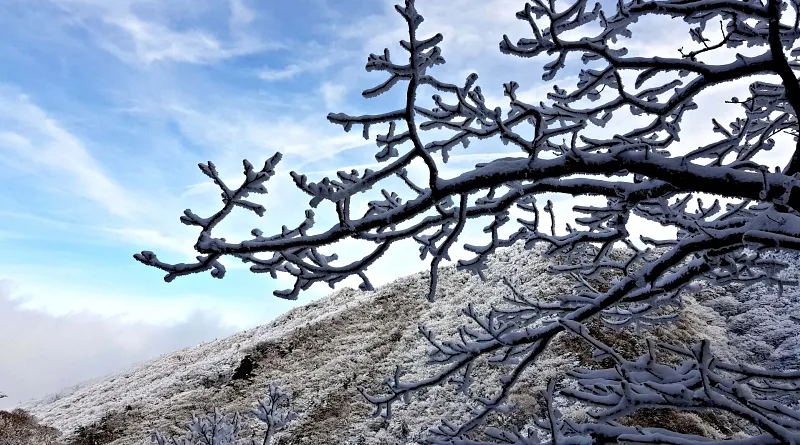제주 한라산 설경 눈꽃