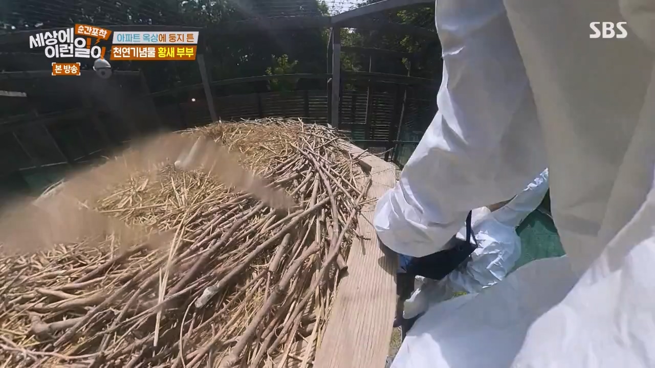 순간포착 세상에 이런일이.E1276.240505p-NEXT.mp4_20240505_151156.162.jpg
