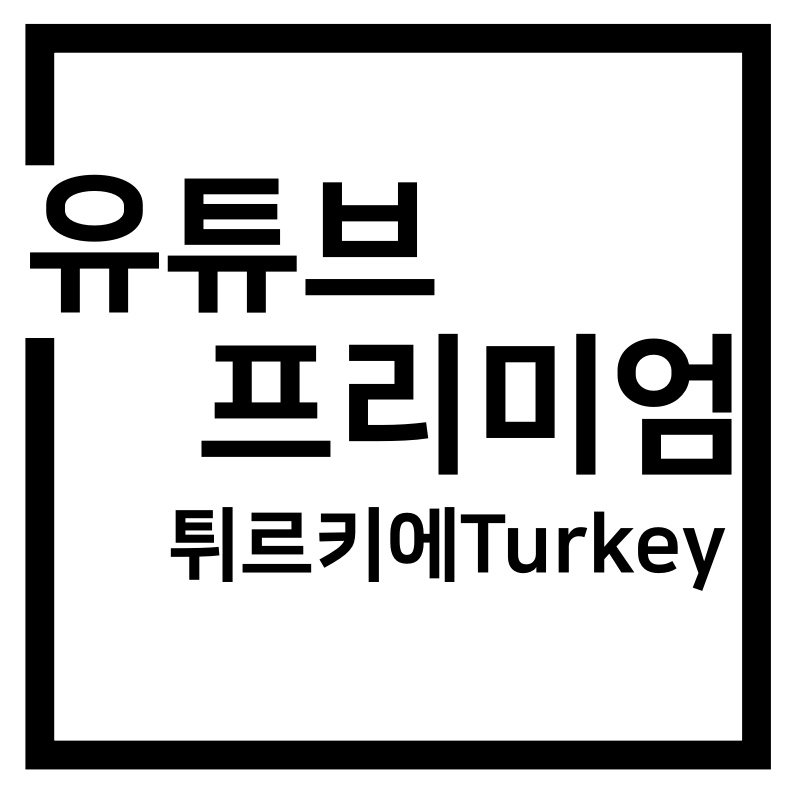  (최신ver) 유튜브 프리미엄 터키/튀르키예 우회 막힘 해결(무료vpn)