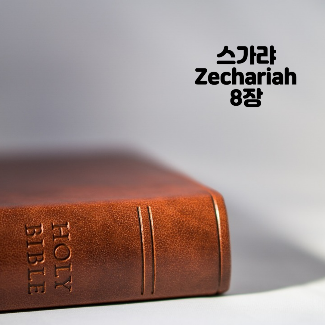 Holy BIBLE 생명의 삶 영어 한글 성경 말씀 - 스가랴(Zechariah) 8장
