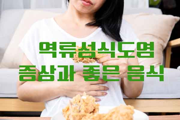 역류성식도염 증상과 정보 음식