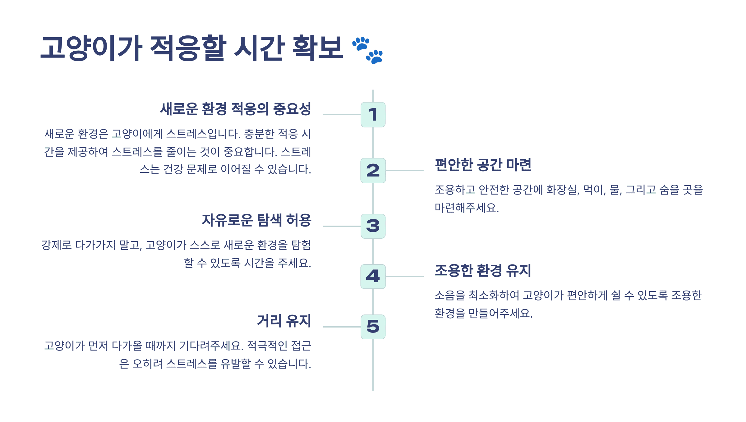 고양이가 적응할 시간 확보