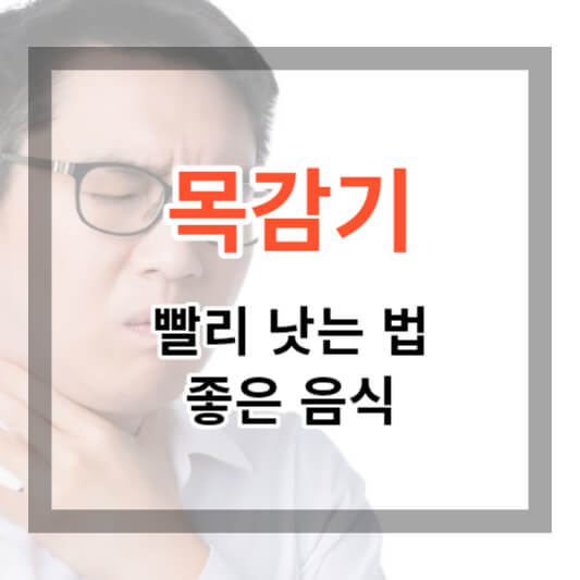  목감기 빨리 낫는 법 및 좋은 음식 정보 공유해 드립니다.
