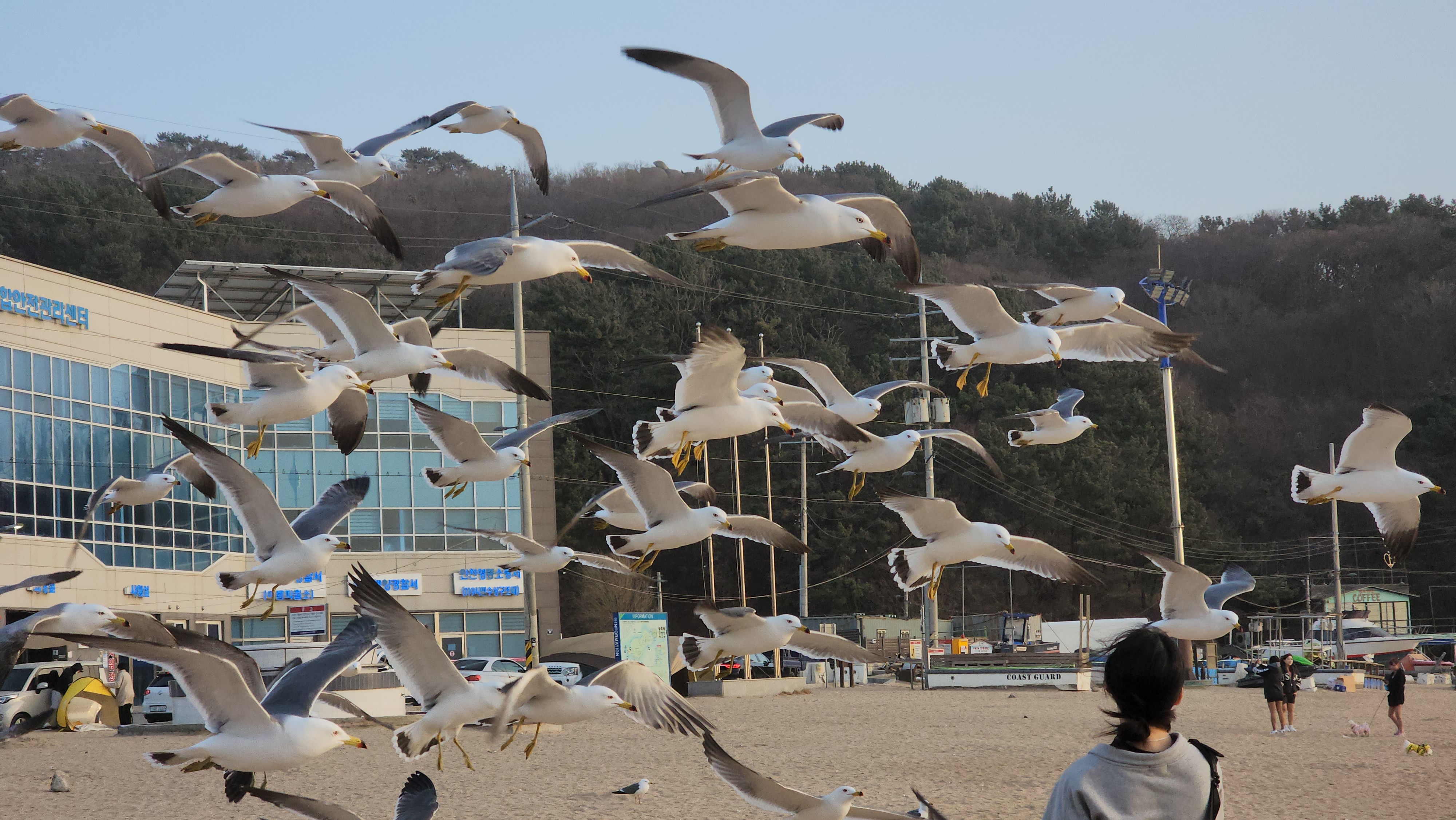 #을왕리 해수욕장 33