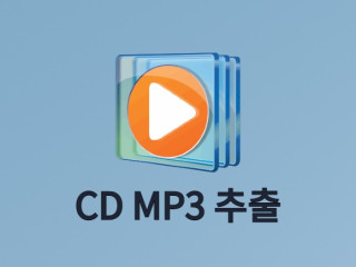 윈도우 미디어 플레이어 CD MP3 추출