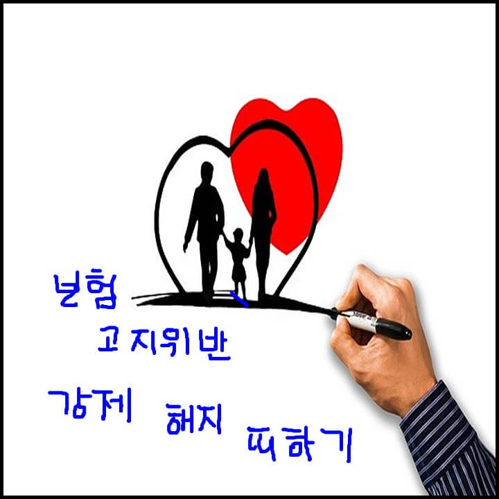  보험회사의 고지 위반 강제 해지 당하지 않는 법