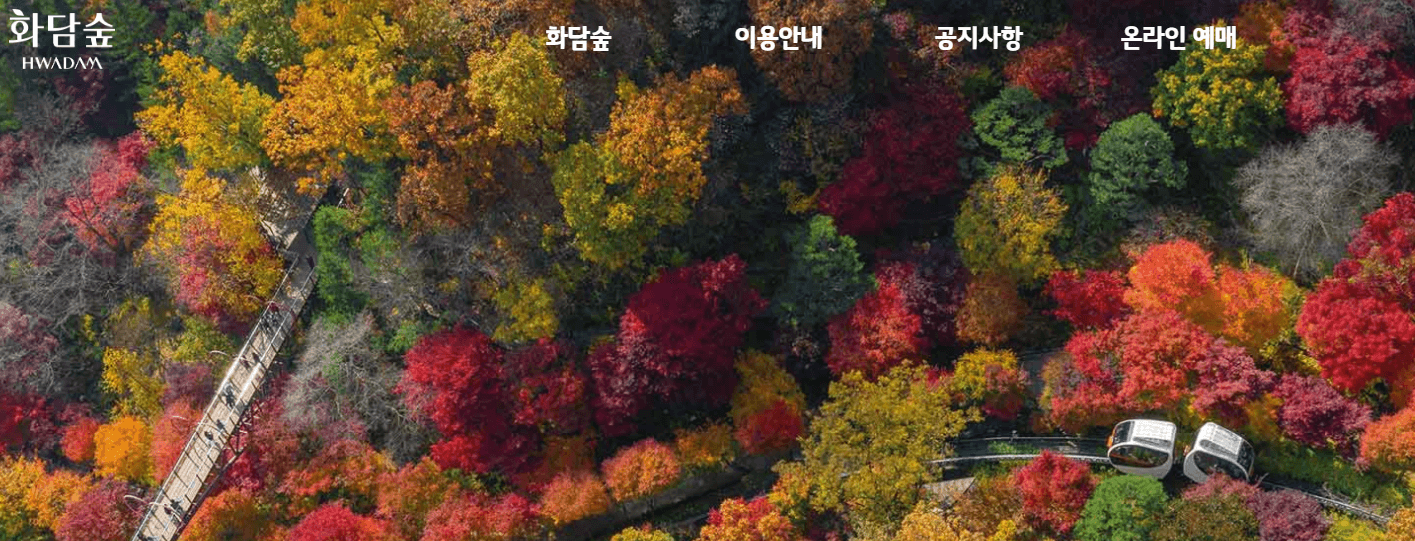 화담채 홈페이지 화면