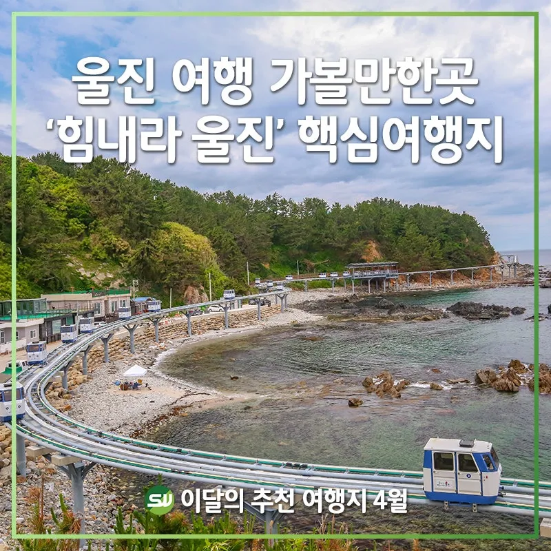 울진 가볼만한곳 베스트10 현지인 추천 필수코스_7