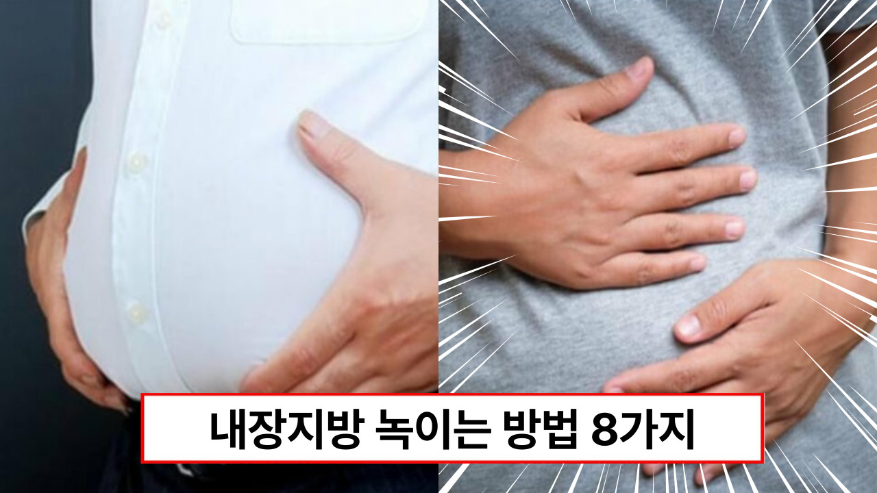 “올챙이배 내장지방 싹 녹아요” 팔 다리 가늘고 배만 튀어나온 사람한테 최고라는 내장지방 빼는 방법 8가지