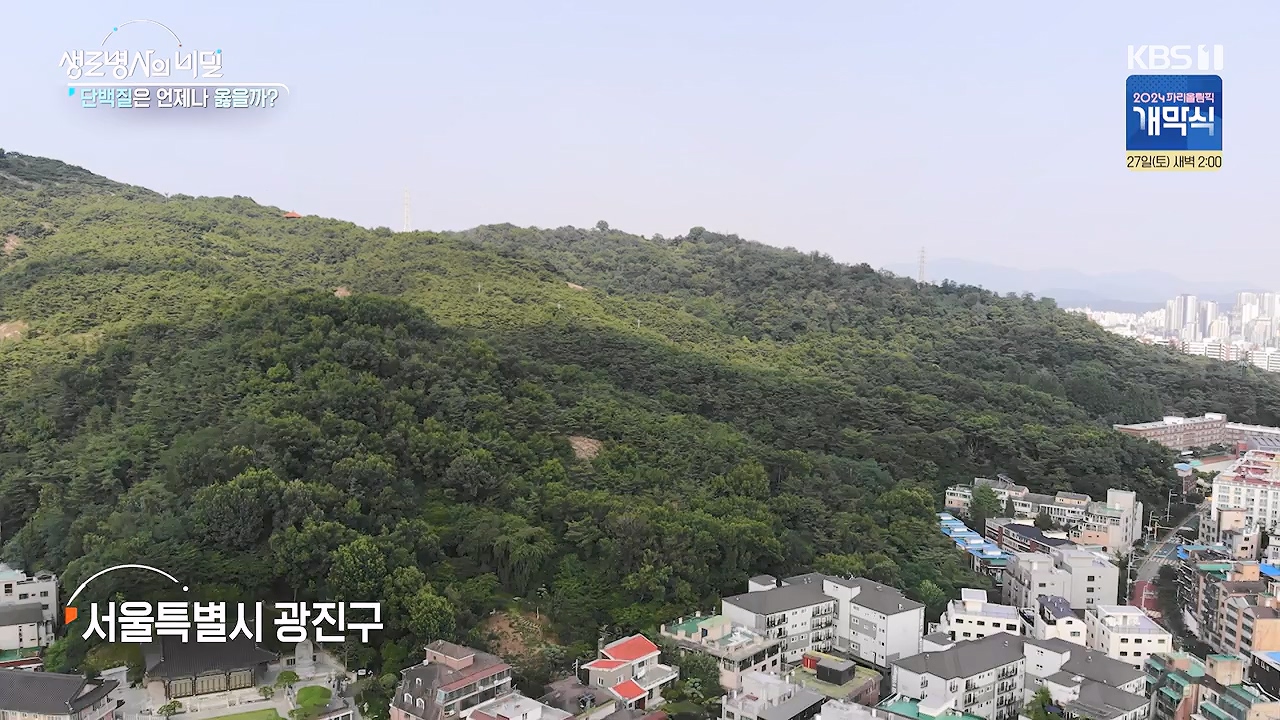 생로병사의 비밀.E921.240725p-NEXT.mp4_20240725_203010.439.jpg