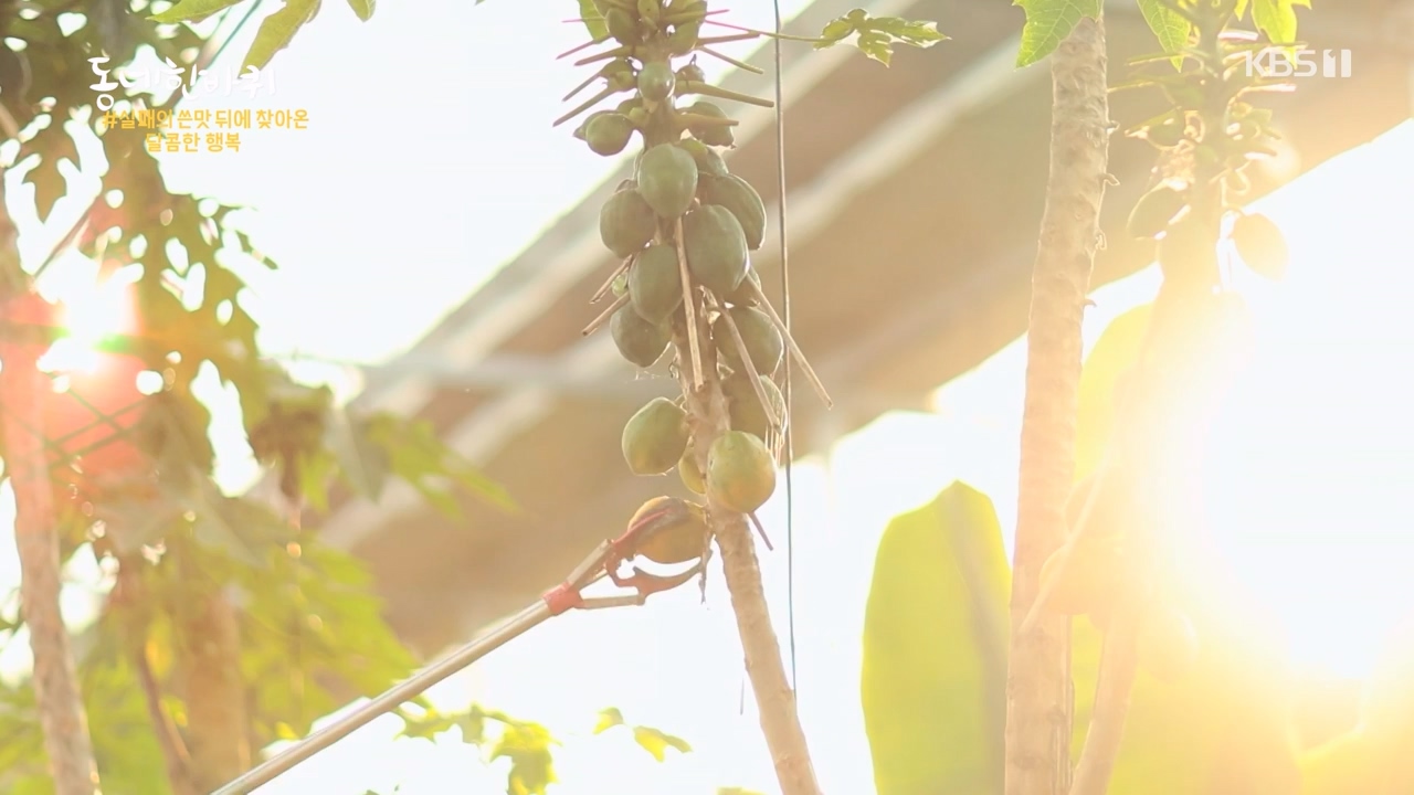 동네 한 바퀴.E275.240526p-NEXT.mp4_20240526_162436.871.jpg