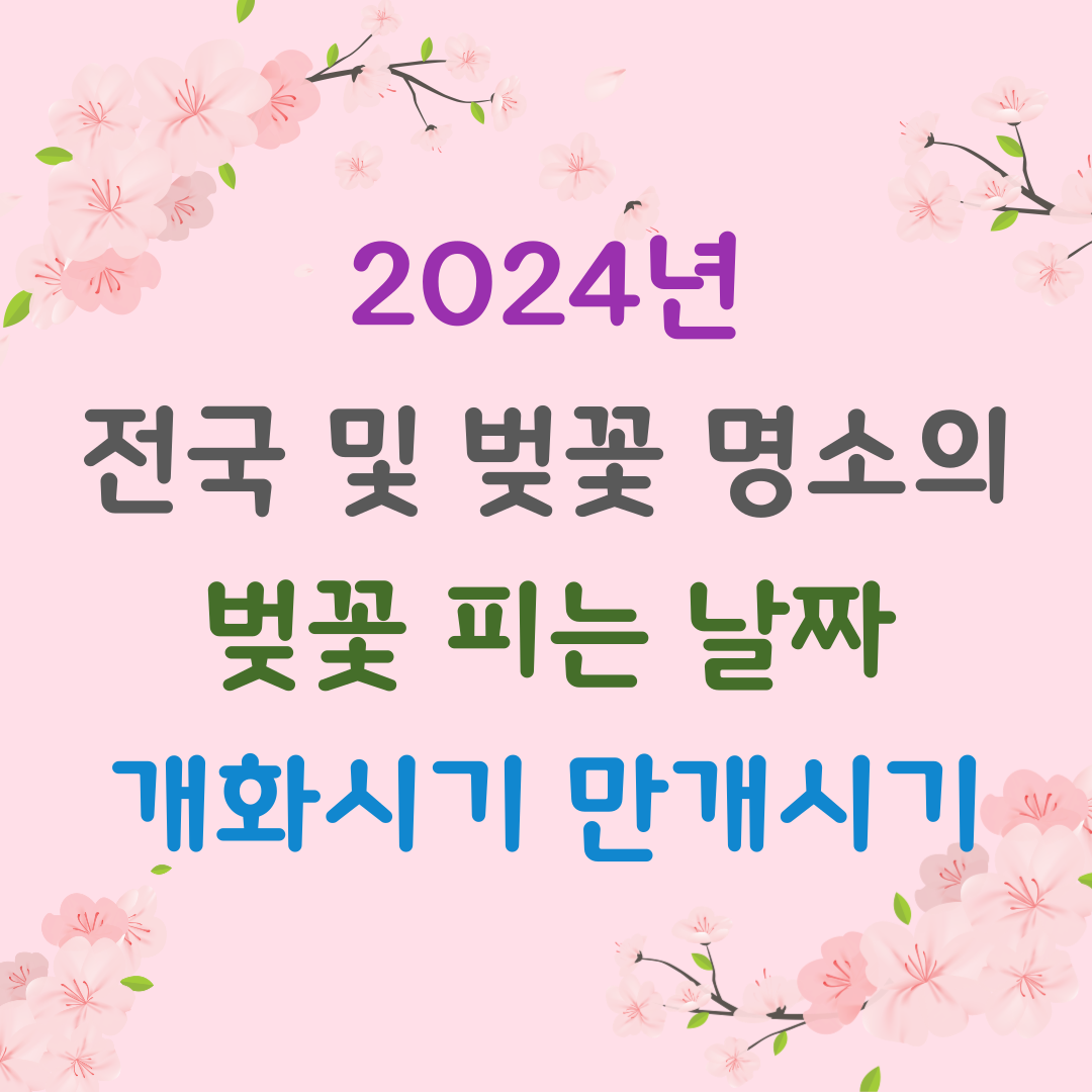 2024년 전국 및 벚꽃 명소의 벚꽃 피는 날짜&#44; 개화시기&#44; 만개시기