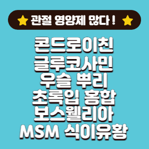 관절염 영양제 종류
